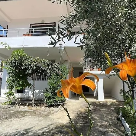 Agalliu Center Villa *